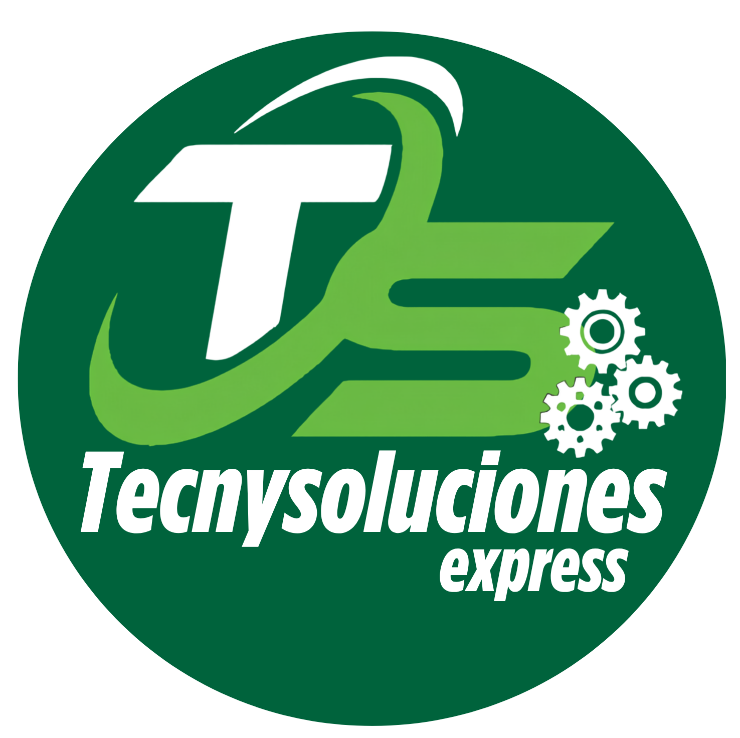 TecnySoluciones